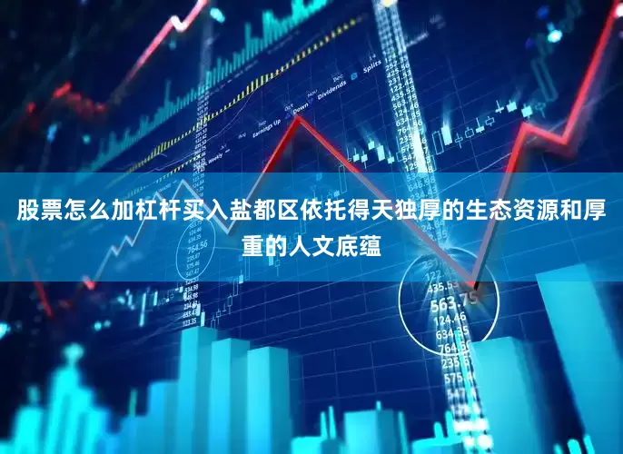 股票怎么加杠杆买入盐都区依托得天独厚的生态资源和厚重的人文底蕴