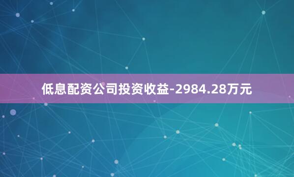 低息配资公司投资收益-2984.28万元