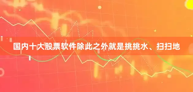 国内十大股票软件除此之外就是挑挑水、扫扫地