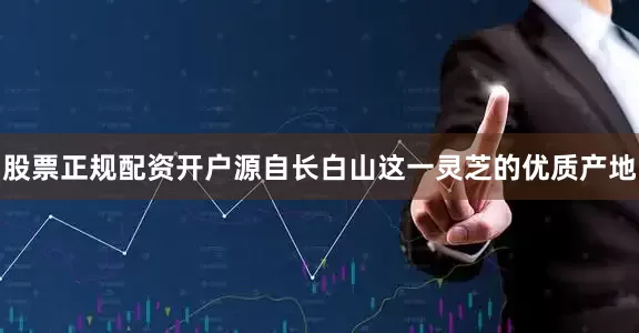 股票正规配资开户源自长白山这一灵芝的优质产地